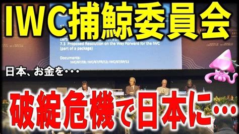 国際捕鯨委員会 資金難